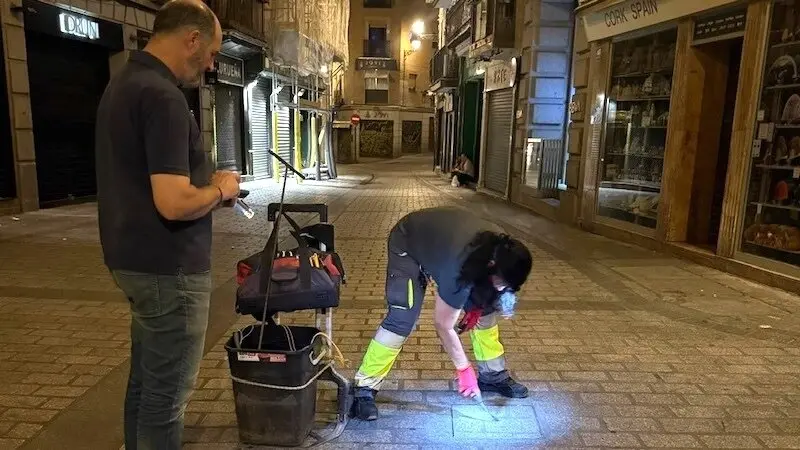 El PP afirma que el Ayuntamiento de Toledo intensifica el tratamiento contra las plagas en la ciudad
