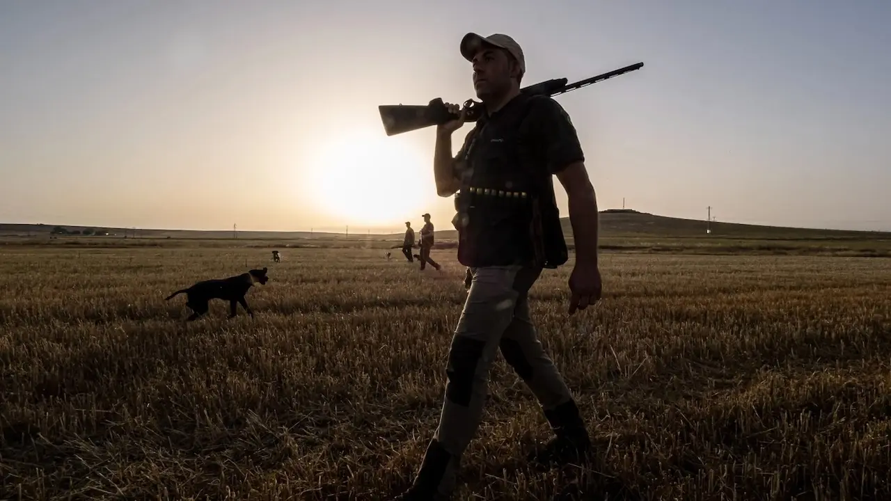 cazador, caza, cazadores, batida, coto de caza, cazando, sector cinegético, actividad cinegética